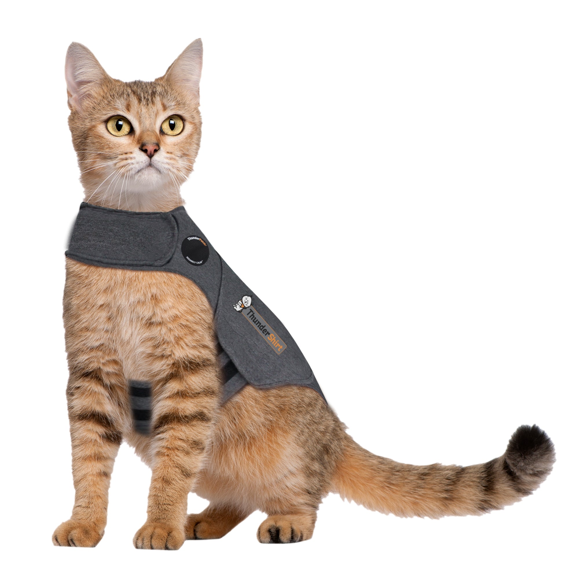 01_ThunderShirt_for_Cats_-_medium-large.jpg