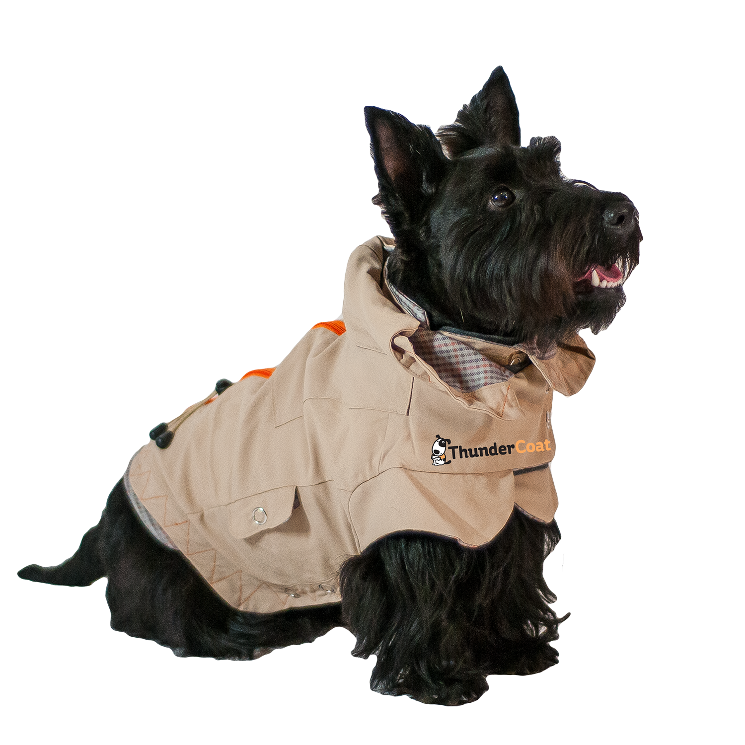 Coat3_1500.png