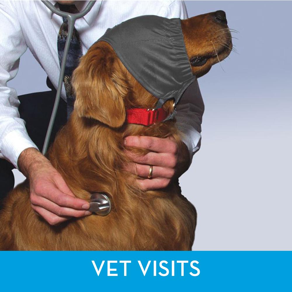 ThunderCap_-_dog_calming_cap_helps_to_calm_during_Vet_Visits.jpg
