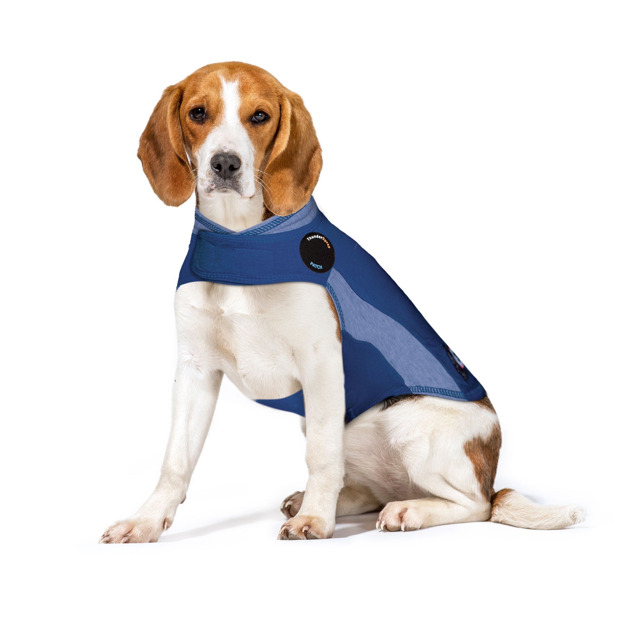 ThunderShirt_for_Dogs_-_Blue_Polo_-_Medium_d2f8c590-b415-473e-a976-aac8582898e7.jpg