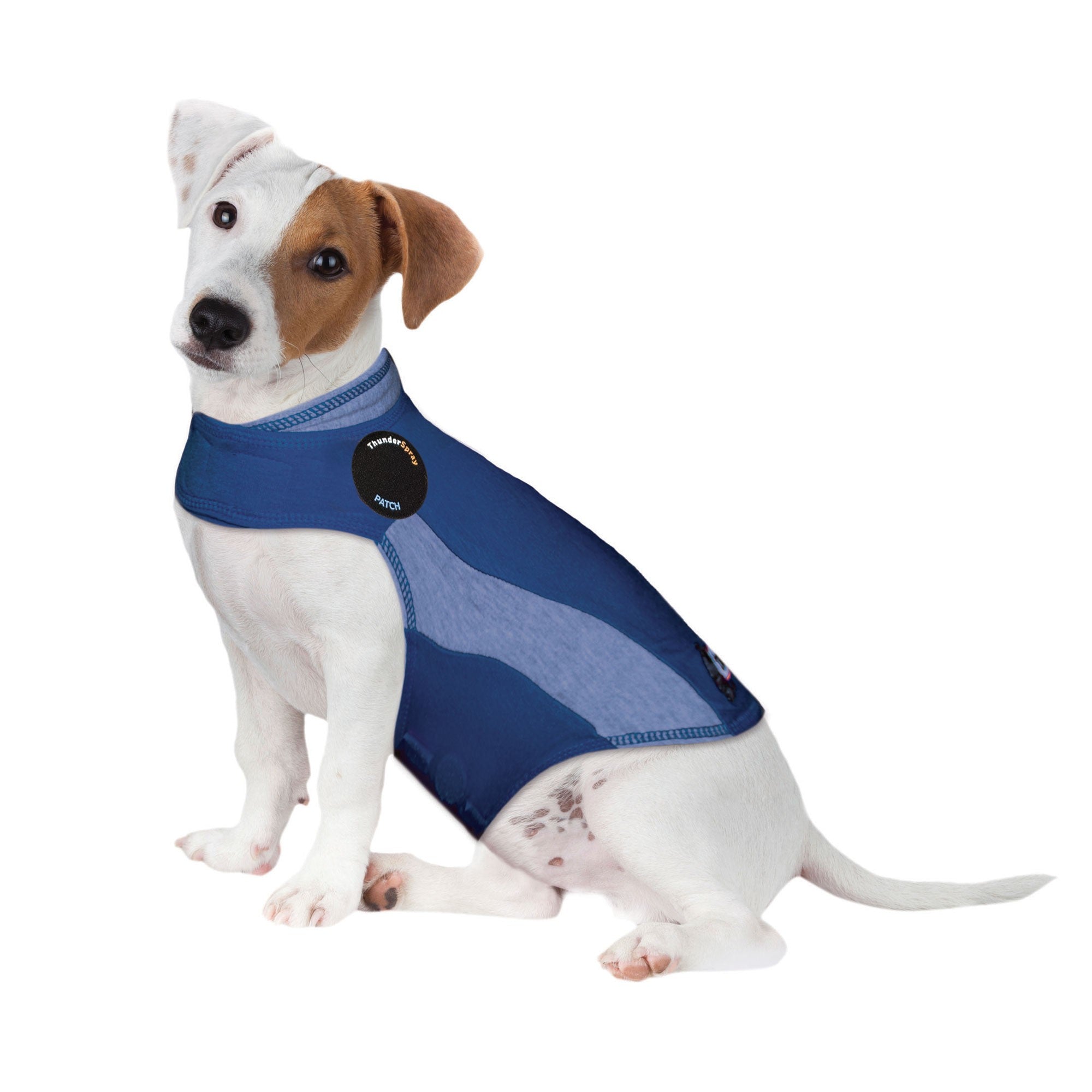 ThunderShirt_for_Dogs_-_Blue_Polo_-_Small_701320cb-32e7-4d8b-a1d7-7b53b3fe5df7.jpg