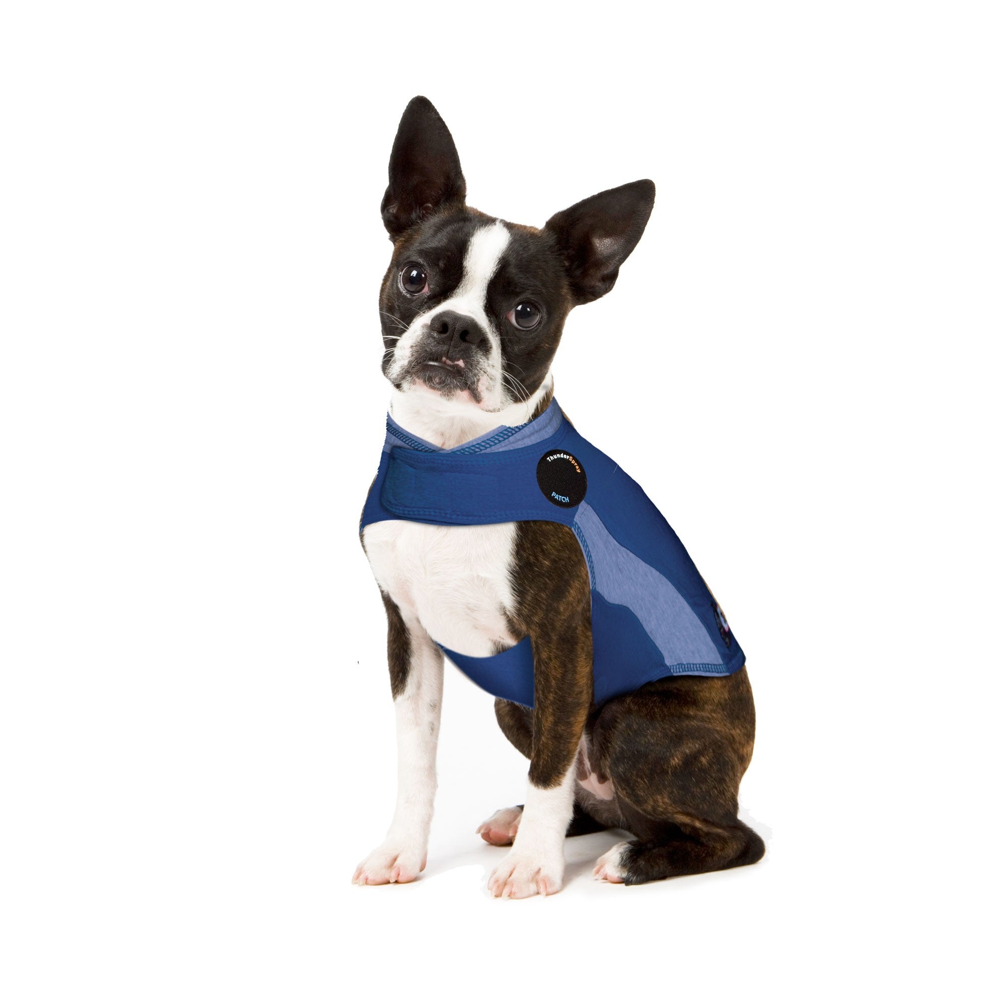 ThunderShirt_for_Dogs_-_Blue_Polo_-_X-Small.jpg