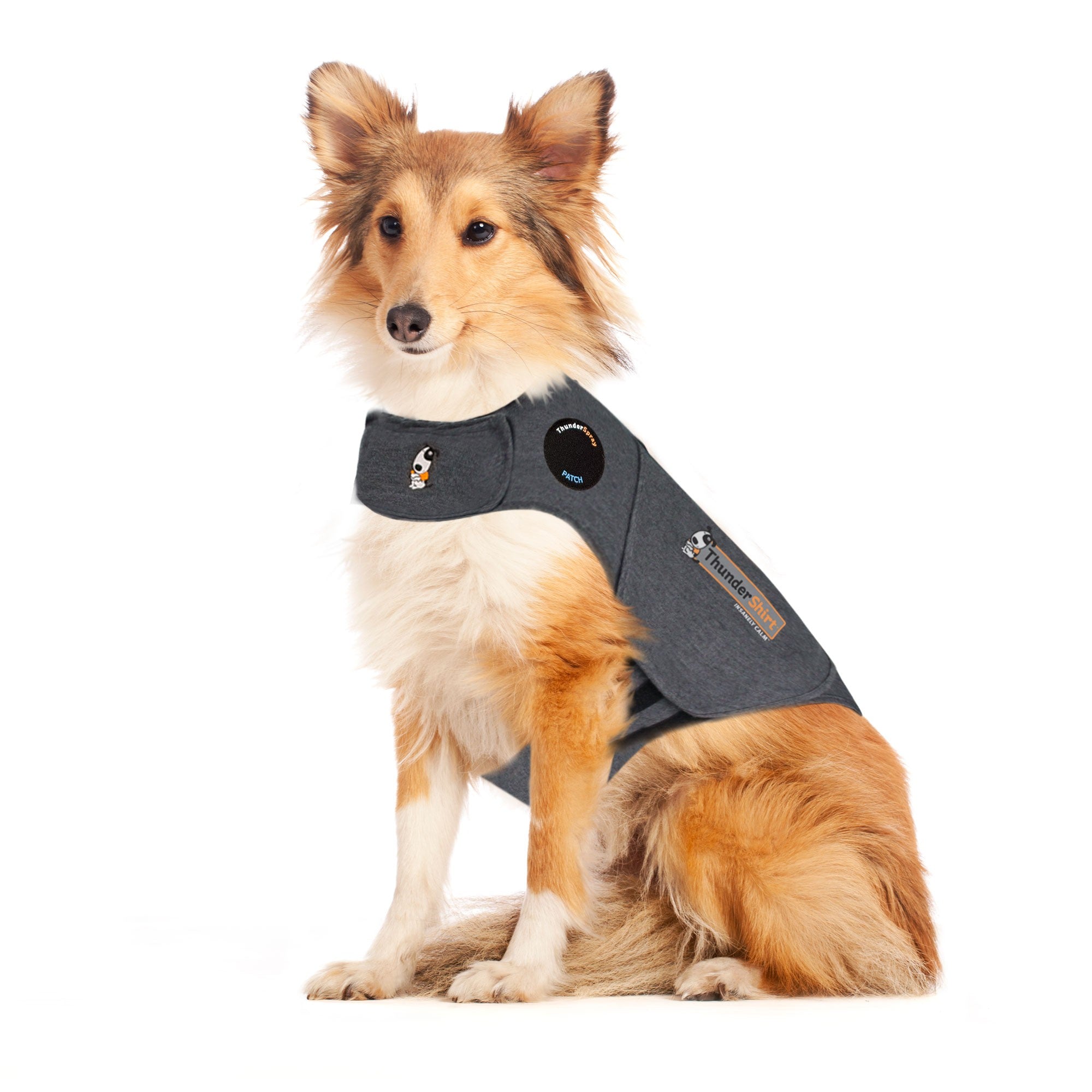 ThunderShirt_for_Dogs_-_Original_Heather_Gray_-_Large_5921be90-69ae-435b-951d-b91c9e14346c.jpg