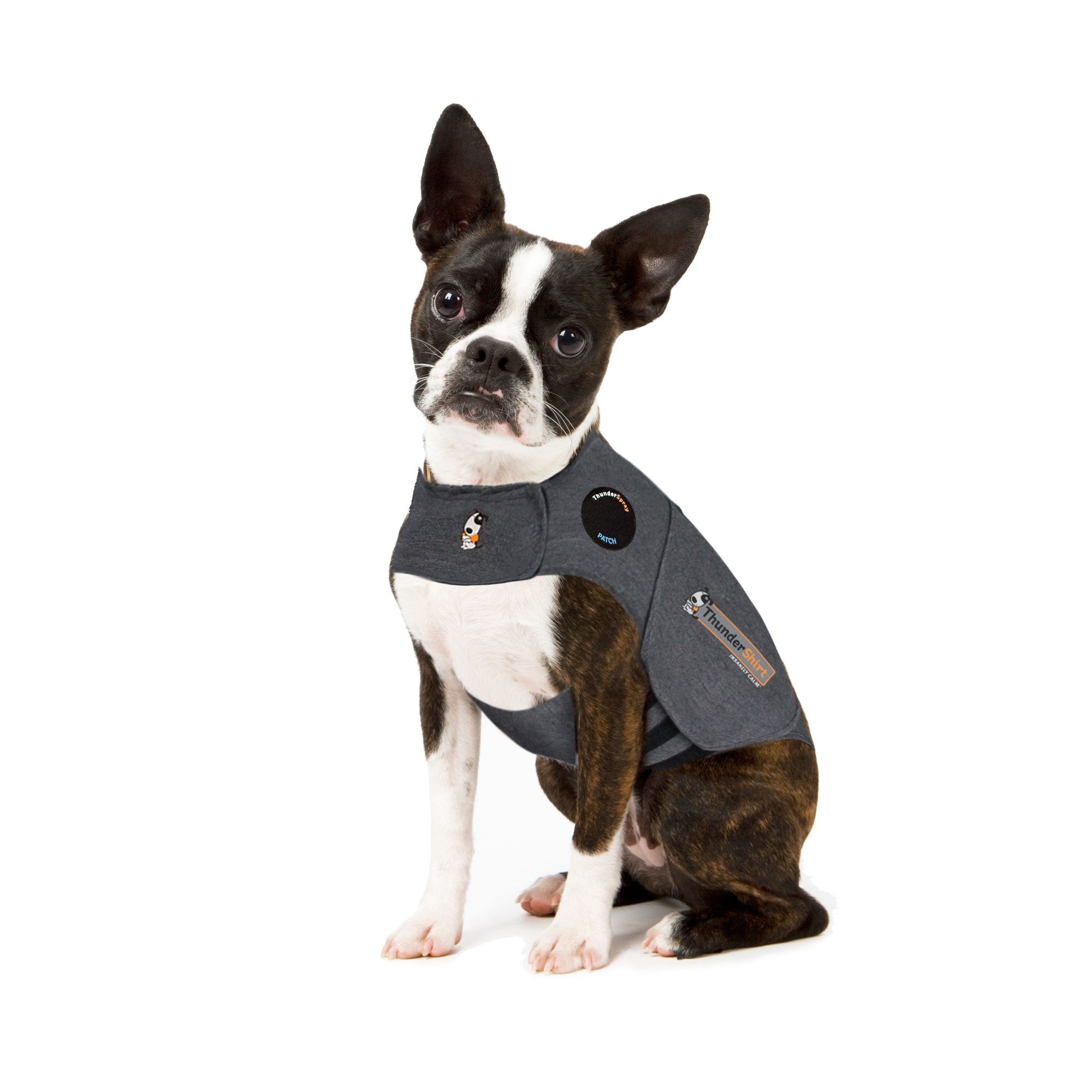 ThunderShirt_for_Dogs_-_Original_Heather_Gray_-_X-Small.jpg