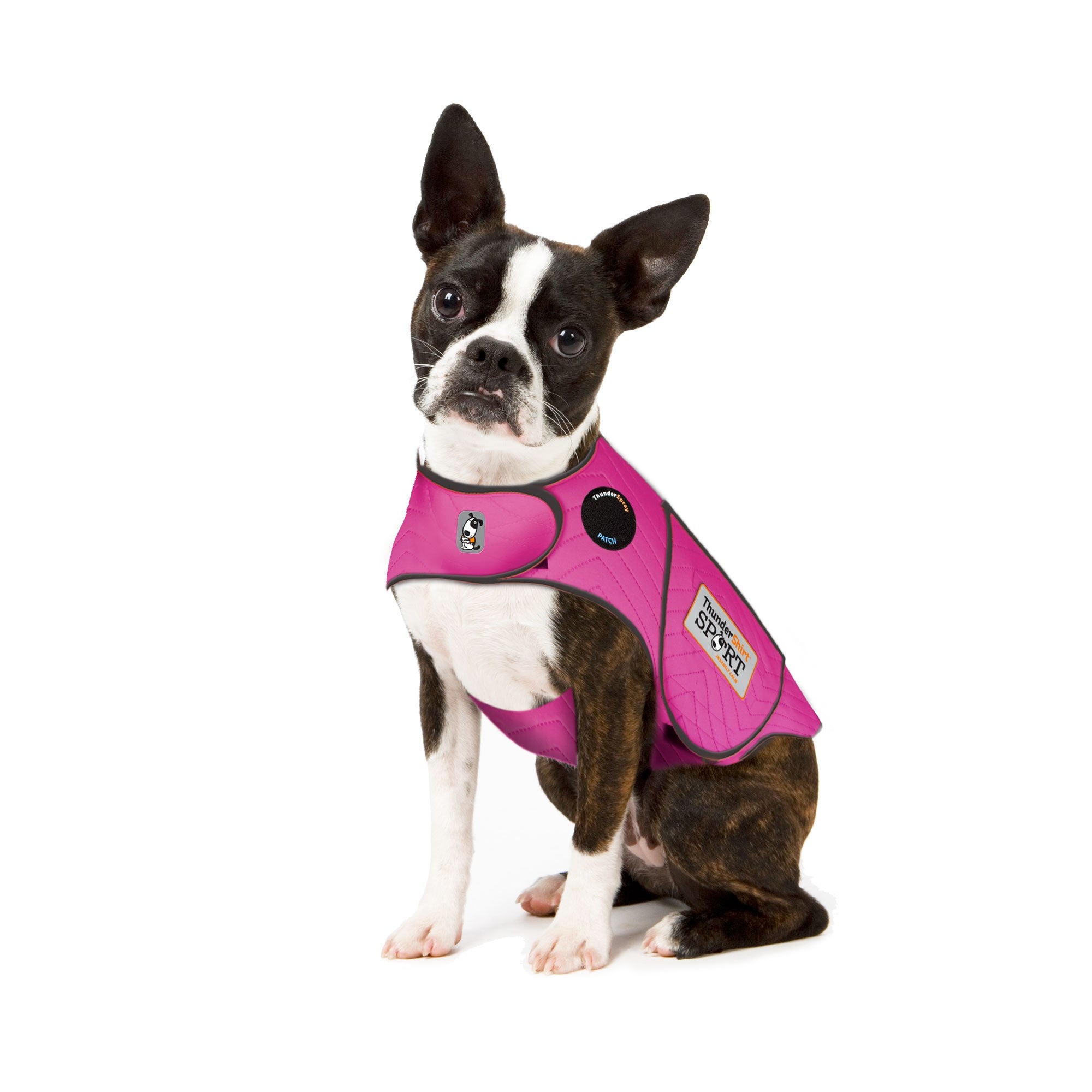 ThunderShirt_for_dogs_-_Fuchsia_Sport_-_X-Small.jpg